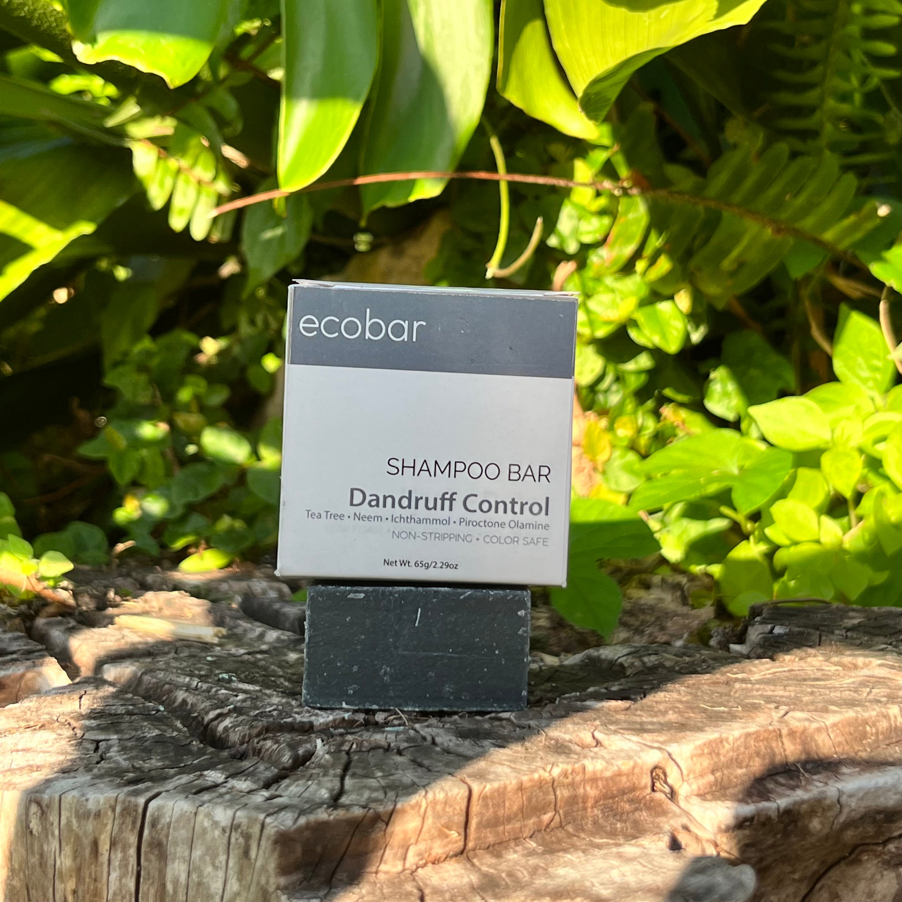 Ecobar Dandruff Control Shampoo Bar
