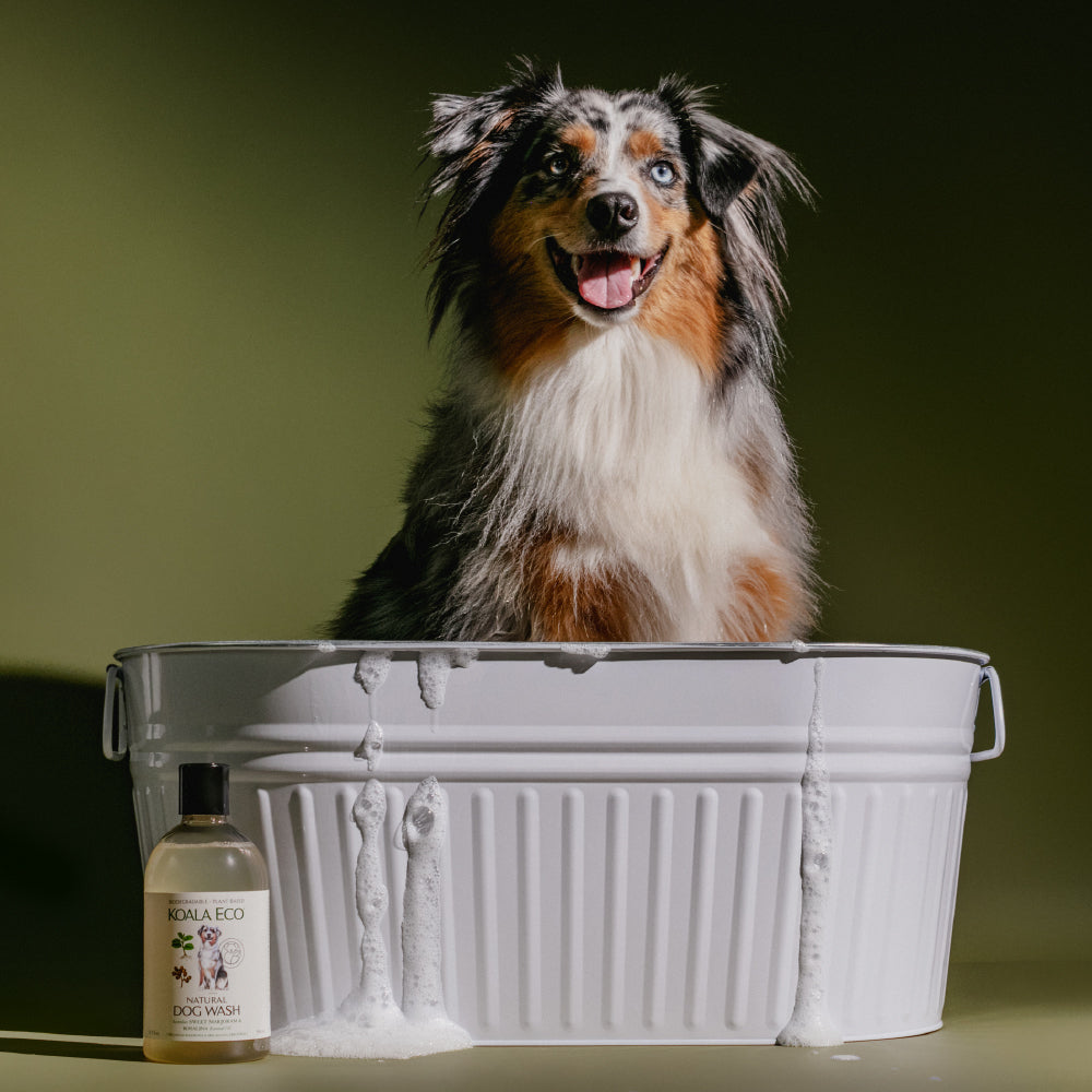 Natural Dog Wash | Koala Eco