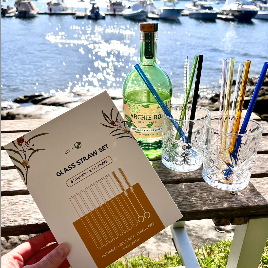 Reusable Glass Drinking Straws – 8 Pack