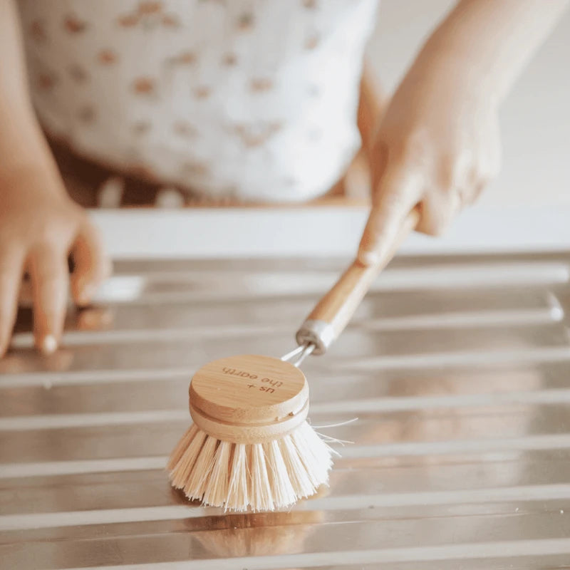 Multipurpose long brush with long handle and replaceable head