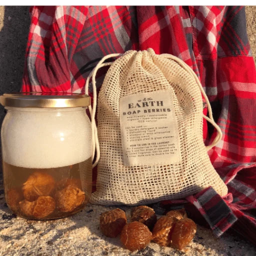 Soap berries for laundry displayed in a pouch next to a clear bottle, representing an eco-friendly laundry solution by Us and The Earth.