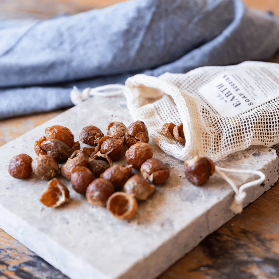 A close-up image of soap berries for laundry, a 100% plant-based eco-friendly laundry solution by Us and The Earth.