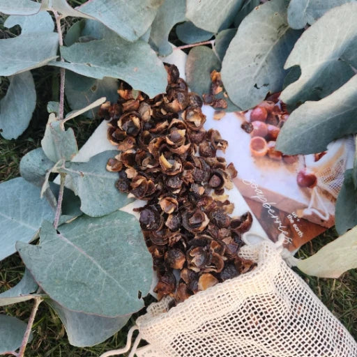 Soap berries for laundry positioned outside of the pouch, with leaves framing the sides, showcasing an eco-friendly laundry solution by Us and The Earth.