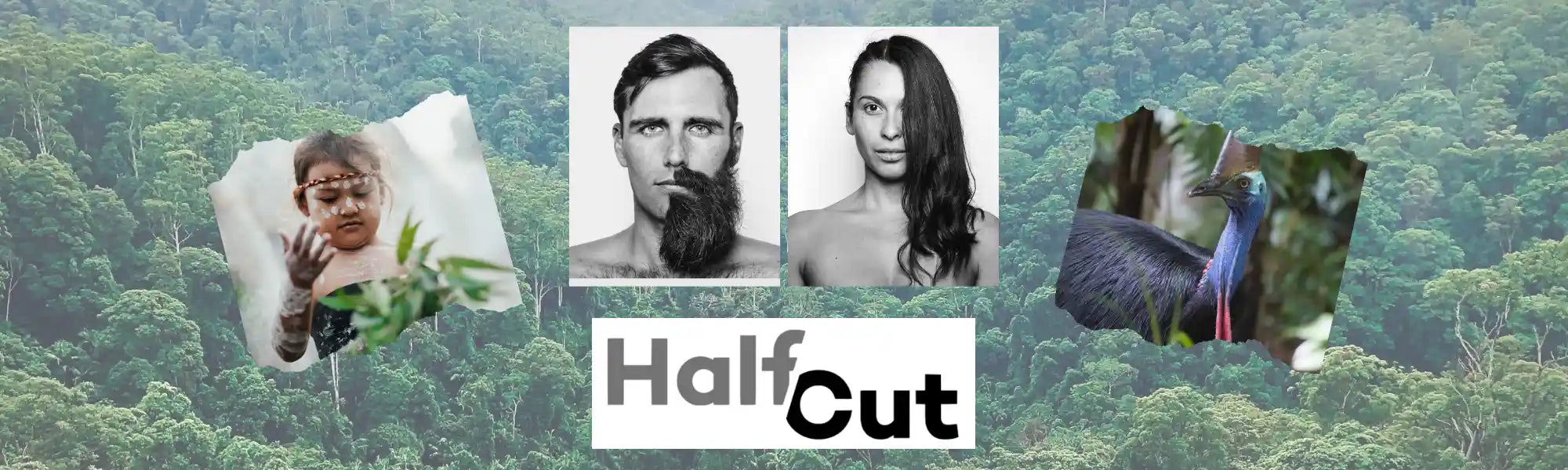 the half cut cause of rainforest | us and the earth