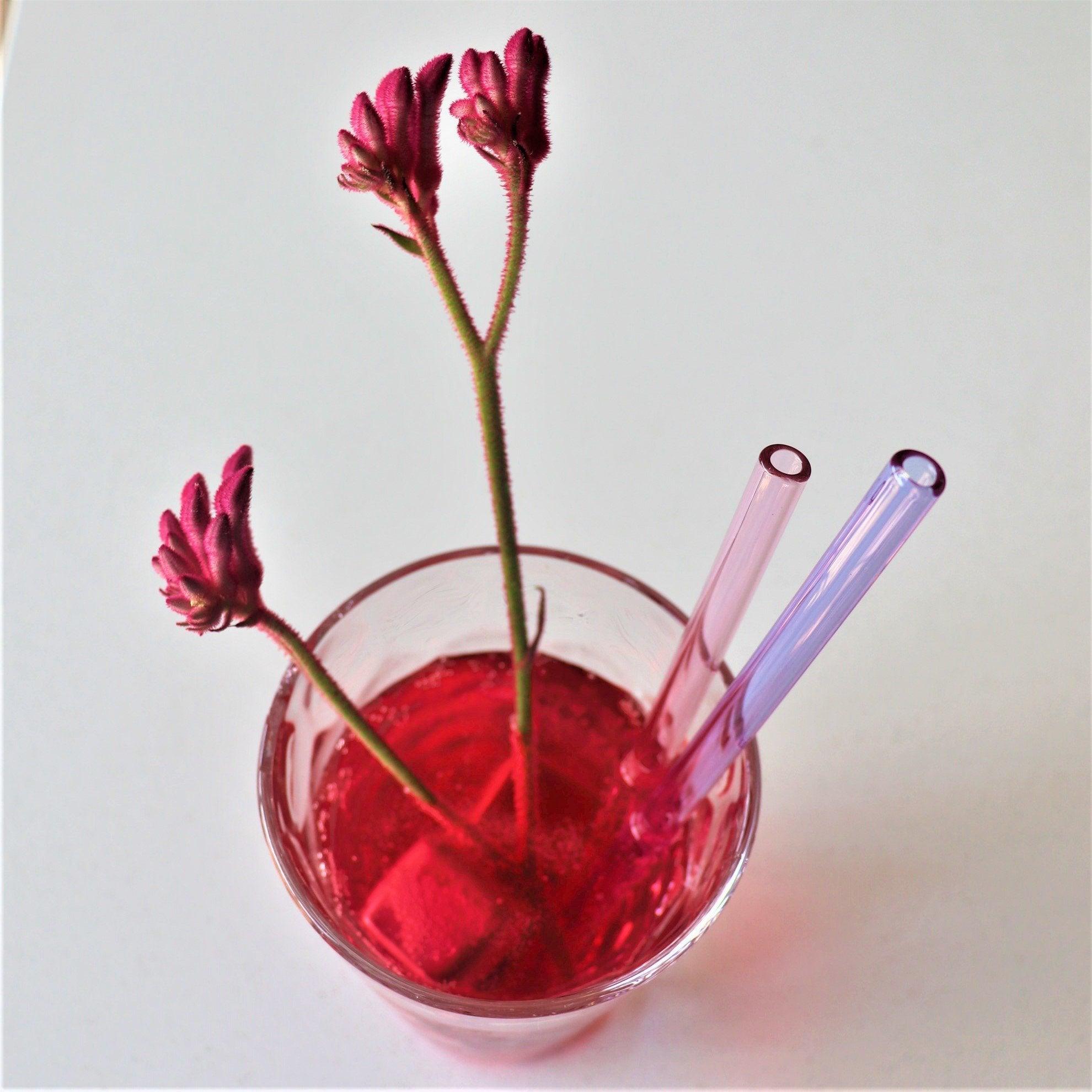 Glass Drinking Straw Set with Metal Straw CleanerSustainable Kitchen - Us and the Earth