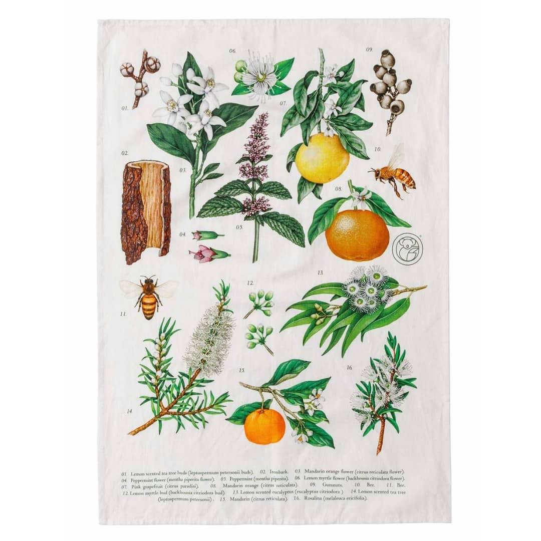 Linen and Cotton Tea Towel -  Australian Botanical Print | Koala Eco
