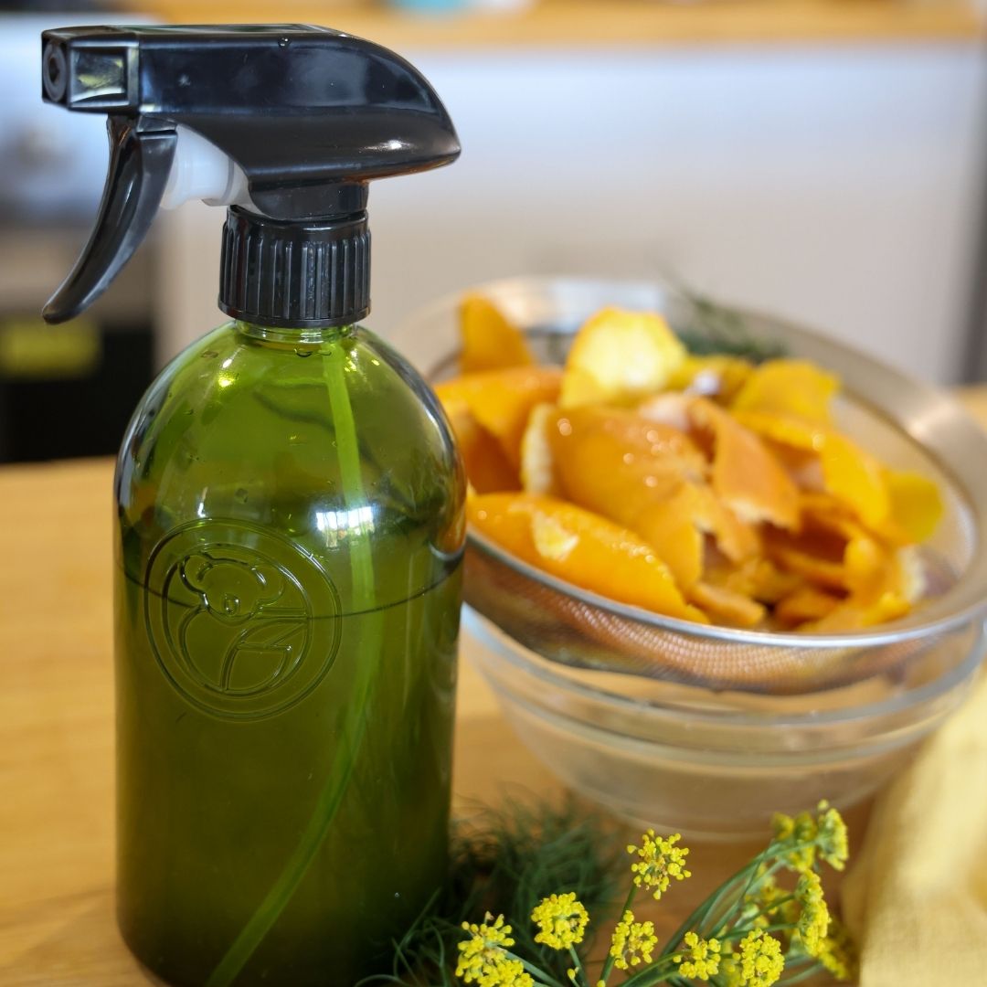 Apothecary Glass Bottle for Eco-Friendly Refills | Koala Eco