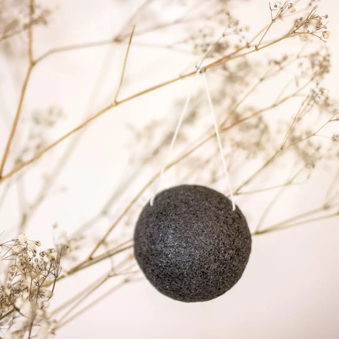 color black natural konjac sponge hang in a branch of tree. | us and the earth