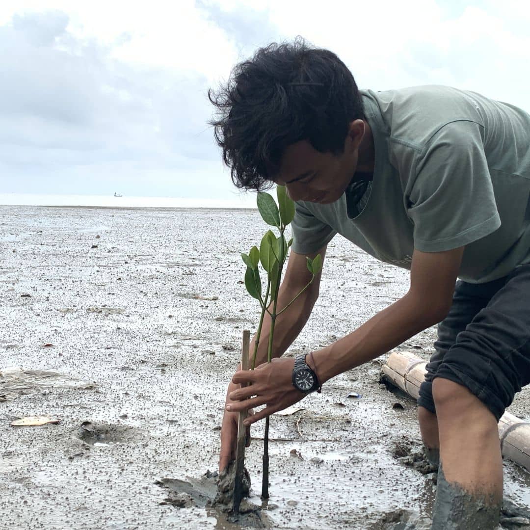 planting tree