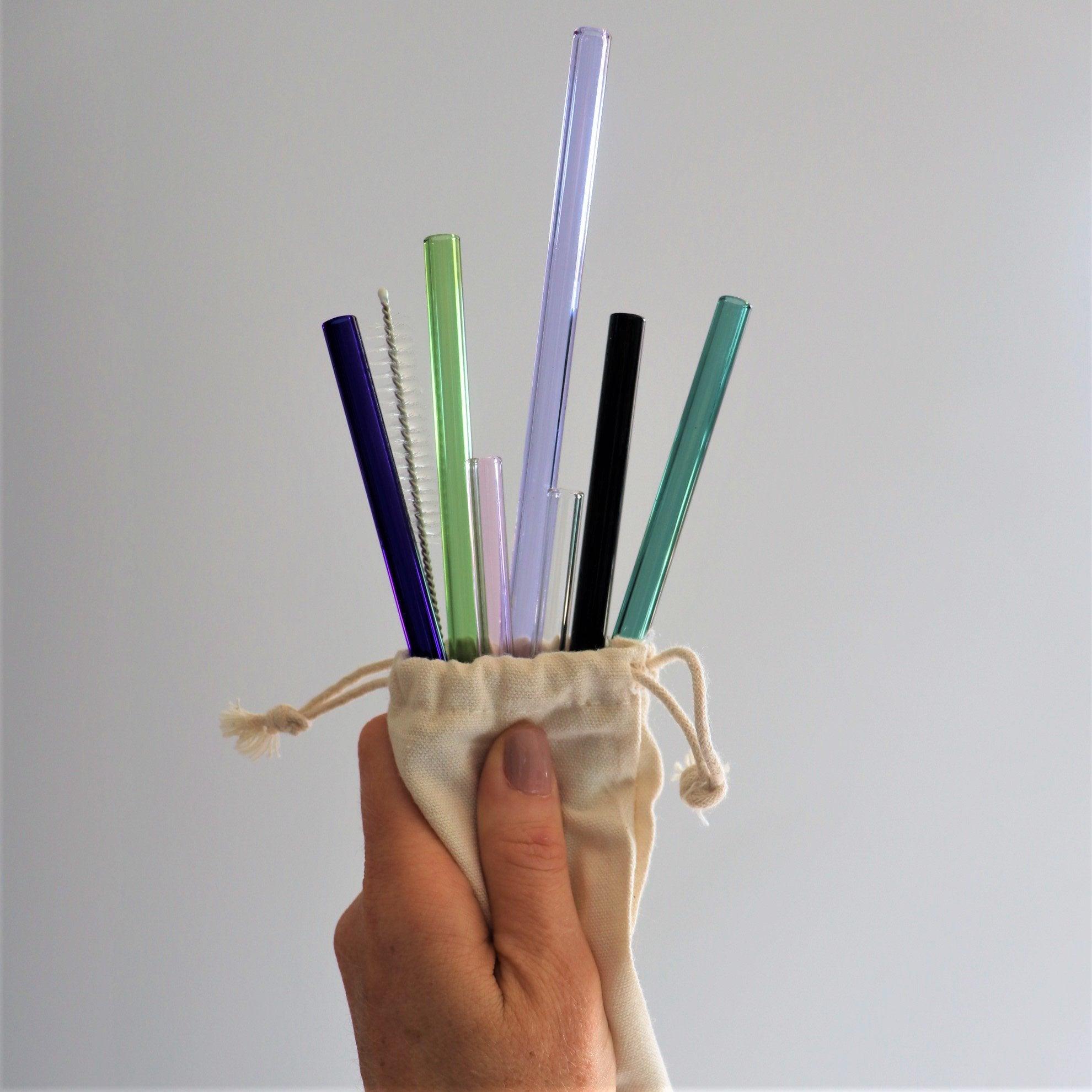Glass Drinking Straw Set with Metal Straw CleanerSustainable Kitchen - Us and the Earth